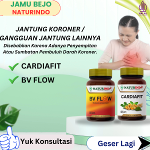 Obat Herbal Cardiafit Mengatasi Nyeri Dada Sesak Nafas Kolestrol Dan Masalah Jantung Lain Naturindo