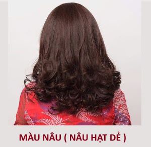 MÀU NÂU ( NÂU HẠT DẺ ) ( DÙNG CHO KHÁCH HÀNG ĐANG CÓ MÀU TÓC SÁNG TÓC ĐANG TỐI MÀU KHÔNG NÊN DÙNG ).