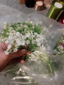 (100g) cụm điểm trang trícỏ điểm trang trí thủy sinh