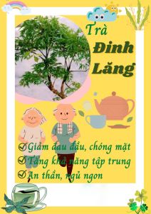 Trà Lá Đinh Lăng - 40 Túi lọc - Giảm đau đầu chóng mặt giúp an thần ngủ ngon giảm đau lưng hiệu quả