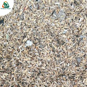 Pupuk Organik Bekas kandang ayam