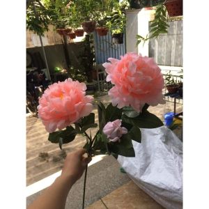 Cành Hoa Mẫu Đơn Cao Cấp Loại To Sang Trọng Trang Trí Nhà Cửa