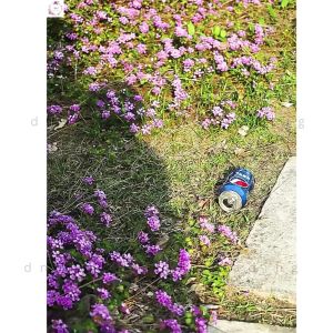 🇲🇾 Foldable Litter Picker Long Reach Grip Grabber Tongkat Pengutip Sampah Penyepit Sampah Lipat 可折叠垃圾夹长柄取物器捡垃圾垃圾夹