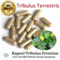 Tribulus terrestris Kapsul Halal 100% Herba Asli Rawat Masalah Batin Lelaki Ready stock. 