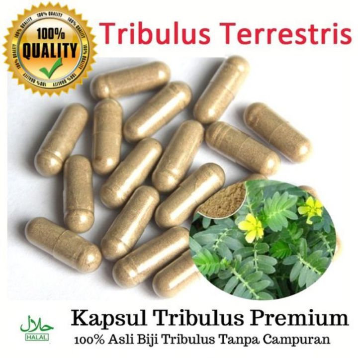 Tribulus terrestris Kapsul Halal 100% Herba Asli Rawat Masalah Batin Lelaki Ready stock