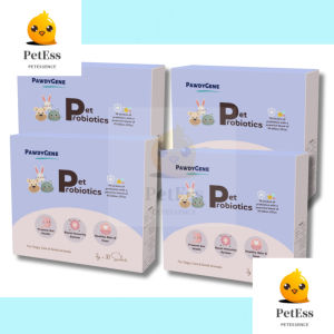 Pet Probiotics (Gut/Skin & Coat Health/Boost Immunity/General Health) *Best SG Formulation*No Meat*