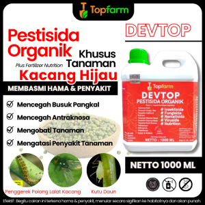 Obat Semprot Hama Daun Kacang Hijau / Obat Hama Kacang Hijau / Obat Hitam Tanaman Kacang Hijau / Obat Dara Kacang Hijau / Obat Tanaman Kacang Hijau / Obat Hama Kutu Hitam Kacang Ijo