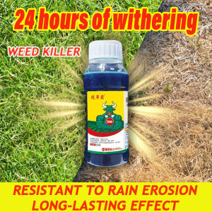 Weed Buster! ECeta Racun rumput cepat mati Herbicide Racun rumpai Easily manage your garden or orchard. Racun rumput paling berkesan Ecomax racun rumput 除草剂