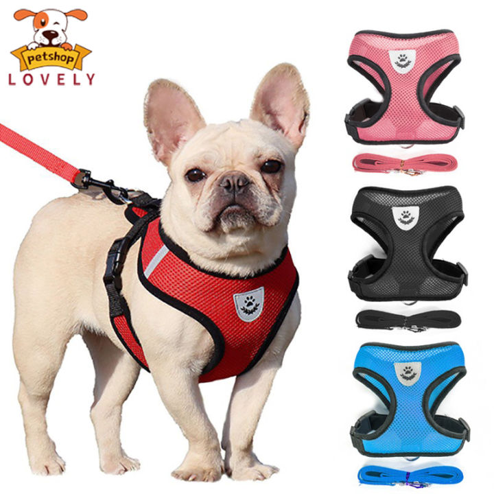 Dog Harness Puppy Fashion Mesh Vest Leash Lead Set Lazada PH