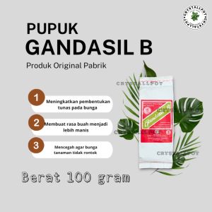 PUPUK TANAMAN BUAH BUNGA ANGGREK GANDASIL B KEMASAN PABRIK 100 GRAM
