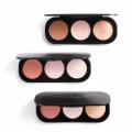 Blush On FOCALLURE Highlighter Palette Original Import. 