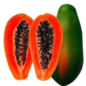 Papaya Seeds Red Lady Dwarf – Heat Resistant High Yield Sweet Variety – Easy to Grow – Green Soil