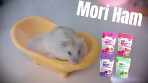 \*\*Mori Hams 1 KG ทรายห้องน้ำ ทรายรองกรง ทรายทำความสะอาด หนู แฮมเตอร์ แกสบี้ กระต่าย เฟอเรท เม่นแคระ กิ้งก่า