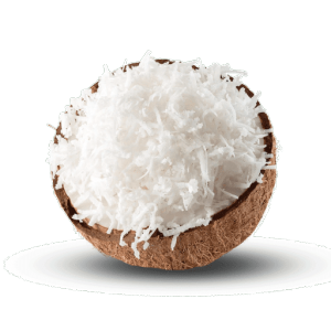 Desiccated Coconut 500G 250g / Kelapa Kering / Dried Coconut