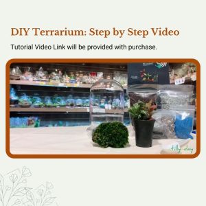 DIY Dome Terrarium