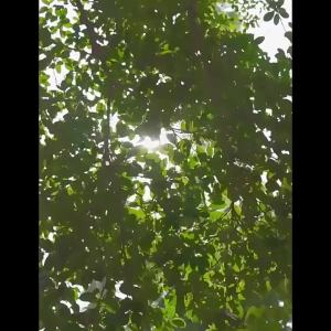 向物手持小风扇随身携带迷你风扇超长续航无刷电机可爱风扇大风力Handheld small fan for objects portable mini fan ultra long battery life brushless motor cute fan strong wind power