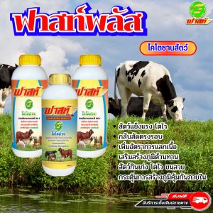 ปรับสมดุลฮอร์โมน เร่งการสืบพันธุ์ ฟาสท์ริช168 ฟาสท์พลัสไคโตซาน บรรจุขวดละ 1 ลิตร วัวท้อง วัวเล็ก วัวเด็ก วัวป่วย วัวแม่ลูกอ่อนใช้ได้ เซตการันตี