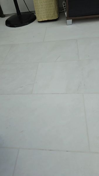 Buyer review video 2