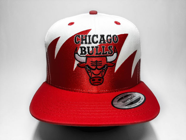 Chicago bulls best sale dad hat