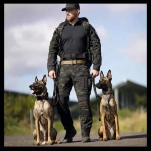 Classic Adjustable Dog Collar Reflective Training Military Dog Collar Nylon Heavy Duty Tactical Dog Collar German Shepherd