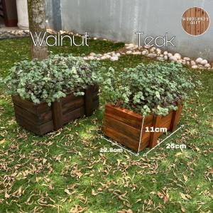Small size SOLID WOOD Planting Pot (2 colors to choose) Solid Wood Pot | bonsai pot | flower pot | pots for plants | 花盆 盆栽 Plant outdoor /indoor | pasu bunga hiasan dalam rumah| Pasu Bunga |