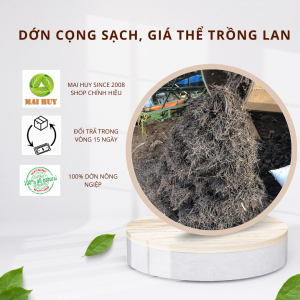 Dớn cọng sạch giá thể trồng lan hoặc cây kiểng lá giúp rễ thoáng lâu mục - Mai Huy -Msp 0581