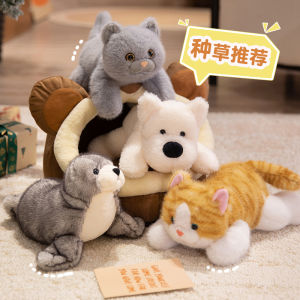 JOJO CASTLE Cute Simulated Cat Doll Plush Toy Stuffed Soft Animal Plush Sea Lion West Highland White Terrier Dog Pillow Kids Girls Birthday Gift Pet Toys