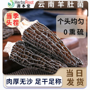 Morel Mushroom Soup 羊肚菌干货 云南特产野生特级 家庭滋补食材 Wild SpecialtyDried Herbs