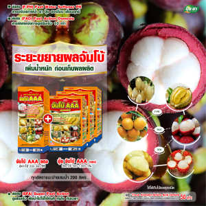 ขยายผลมังคุด เร่งหวาน สร้างเนื้อ สีสวย เนื้อแน่น ก่อนเก็บ 15-30 วัน ฮอร์โมนพืช ปุ๋ยเกล็ด ปุ๋ยยา 1 ลิตร + 3 กก.