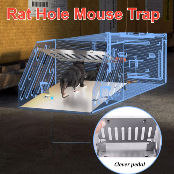 Rat Hole Mouse Trap Rodents Cage Automatic Lock Door Mouse Trap