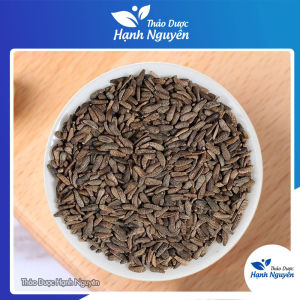 Ngưu bàng tử 100g hạt ngưu bàng khô sạch thông phổi thanh nhiệt mát gan giảm mụn nhọt