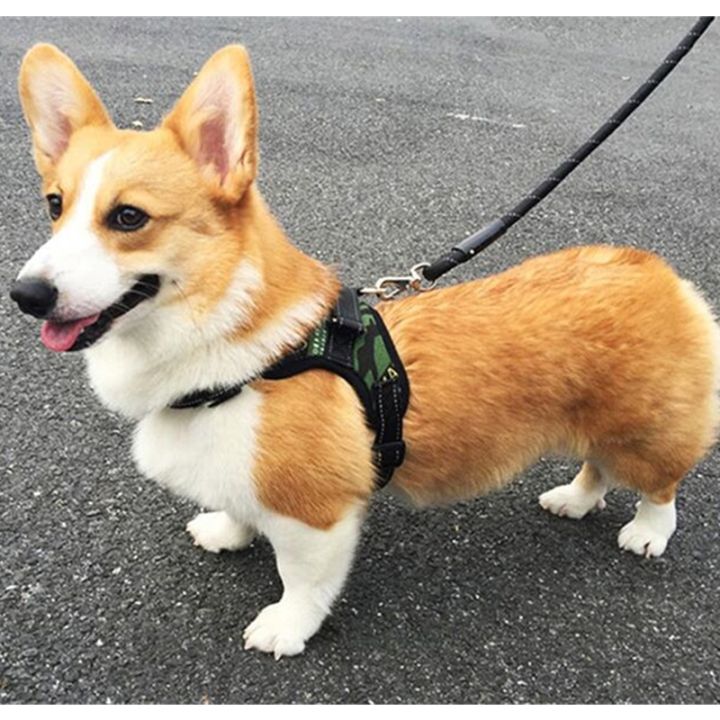 Dog%20Leash%20Strong%20Dog%20Leash%201.5M%20Long%20with%20Padded%20Handle%EF%BC%86Reflective%20Dog%20Leashes%20for%20Medium%20Large%20Dogs%20-%20Image%209