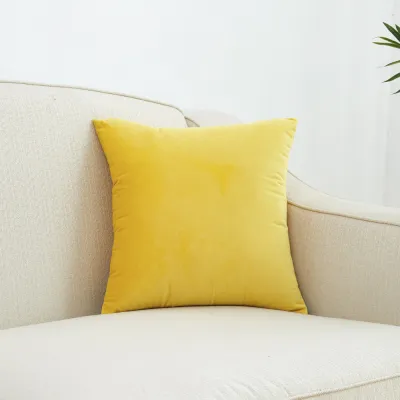 Superfine Velvet Cushion Cover 50x50/60x60/50x70cm Solid Nordic Throw Pillow Case Big Size Decorative Pillow Cover for Bed Sofa Chair Living Room Bedroom Home Decor