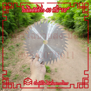 Hashitech ใบมีดตัดข้าวใบเลื่อยวงเดือนขนาด 10 นิ้ว 40 ฟัน ใบมีด ตัดหญ้า คมมาก แข็งแรง ทนทาน