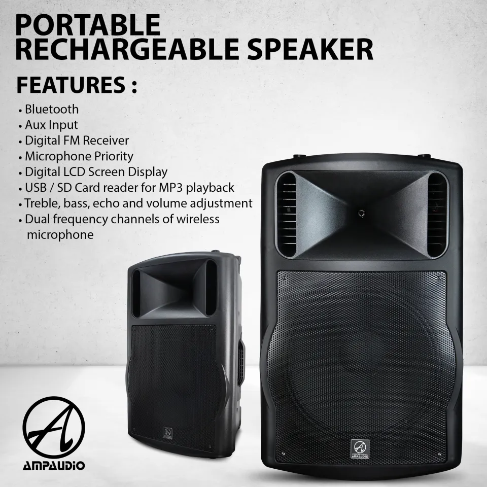 18 Inch Portable Ampaudio Bluetooth Portable Speaker with Karaoke