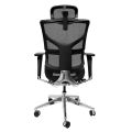 SAIL Luxury Ergonomic Office Chair ★ Mesh Office Chair ★ Flexible Lumbar Support ★ Adjustable Features ★ Easy Self Setup. 