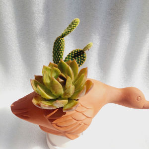 Chậu đất nung chậu sen đá - Vịt rong chơi dài 21cm rộng 11cm cao 10cm