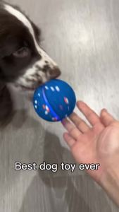 Interactive Dog Ball Toy for Small Medium Dogs – Automatic Rolling Bouncing & Moving Dog Toy with LED Lights 2-in-1 Fetch Toy Durable E-TPU USB Rechargeable (2.8” Blue)