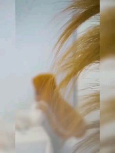 Jilbab hijab kerudung bergo krudung wanita dewasa jersey instan renda terbaru new terlaris terkini modern kekinian murah viral 2022 Arrafi AR 657 adem mudah di bentuk cantik pet antem bahan stella murah promo cantik bayar di tempat COD gratis ongkir