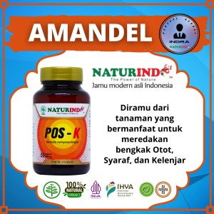 Obat Amandel Bengkak Mengecilkan Kelenjar Radang Anak Dewasa Ampuh Kapsul Herbal Pos-K Naturindo