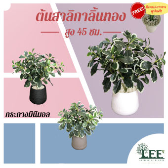 รูปจากผู้ขายบน Lazada: ต้นสาลิกาลิ้นทอง ขนาด 45 ซม. ต้นไม้ปลอม ต้นไม้ประดิษฐ์ Leeartplants ตั้งราคา ฿250 ขายแล้ว 194 ชิ้น