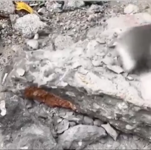 4 cái đục SDS cộng với 250mm khoan búa điện bit điểm rãnh rãnh đục dẹt phá vỡ gạch bê tông tường khoan