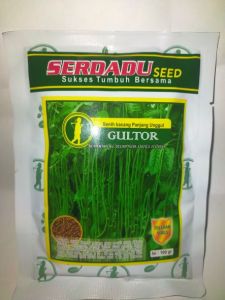 BENIH KACANG PANJANG GULTOR TAHAN VIRUS KUNING-100GR