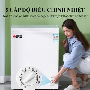 (Siêu Rẻ) Tủ Đông Chính Hãng 60 Lít Chigo Tiết Kiệm Điện 5 Chế Độ Chỉnh Nhiệt Bảo Hành 3 năm