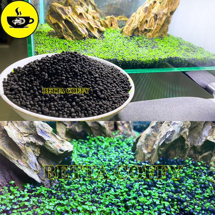 Combo phân nền và hạt giống cây thủy sinh, Hạt giống sen mini đủ màu ...