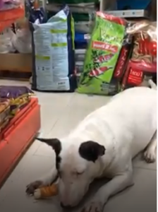 Dog Friend อกไก่พันครั้นชี่โรลยักษ์ 3 ชิ้น x 2 ซอง