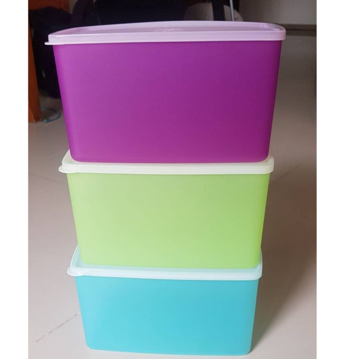 Tupperware กล่องเหมันต์พฤกษาจัมโบ้ (3) | Lazada.co.th
