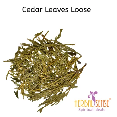 SI Cedar Smudge Leaves Used for Renewal and Protection and Grounding