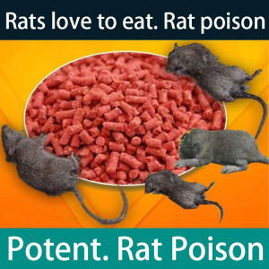 rat killer poison lure that mice like to eat mouse rat trap cage pest control mice mouse trap cage Poison Lason sa peste Zinc Phosphide RATKIL Deratization Repellent Repeller Rodent Catching Bait Snap rat killer poison pellet for home catcher dora food