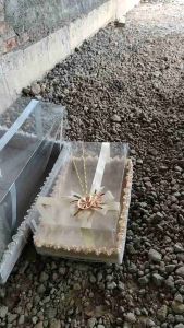 Kotak Seserahan Pernikahan & Isi 4 Parcel Mika